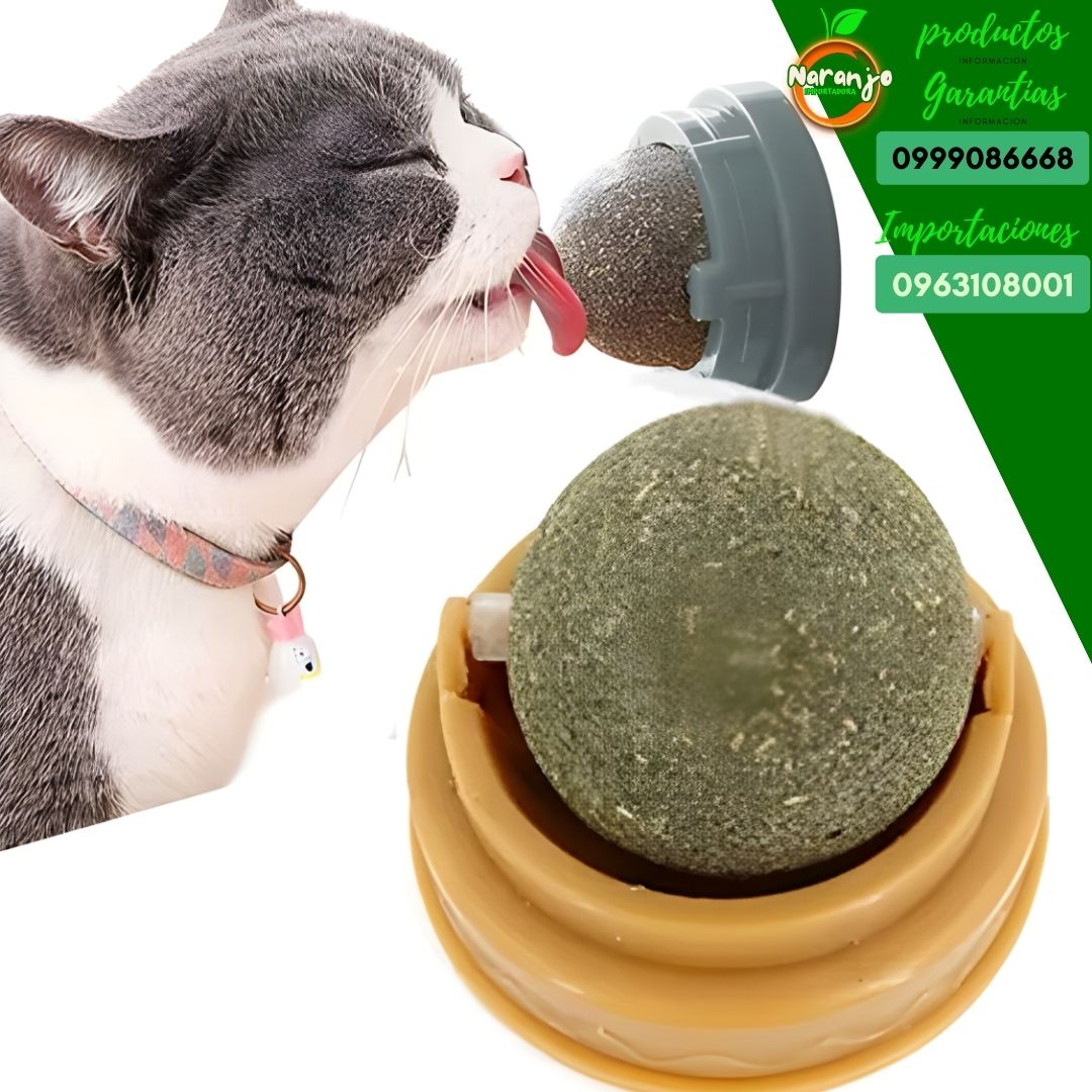 CATNIP PARA GATOS Y PERROS